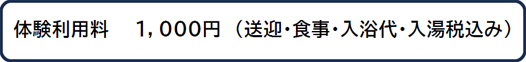 自費利用の場合